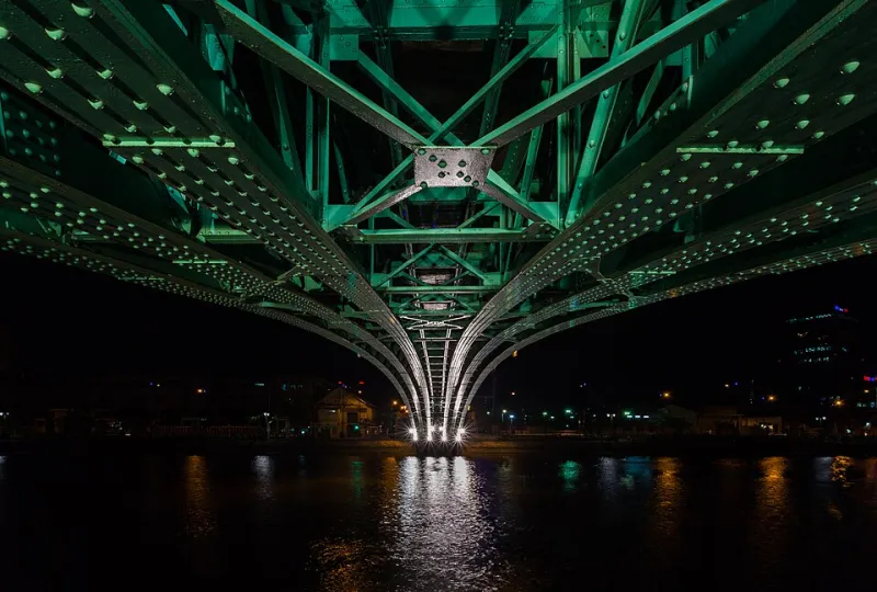 Congestion, Customs, and Cargo: Untangling the Ho Chi Minh City Port Delay Problem