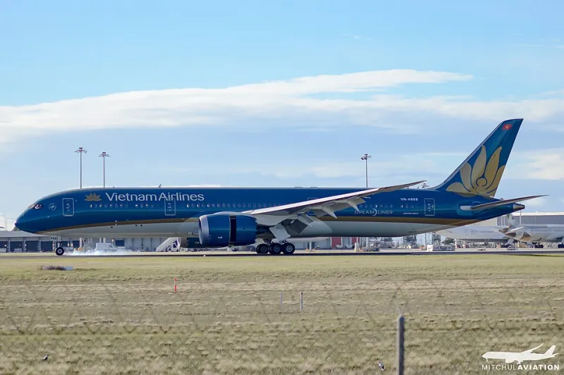 Beyond Tan Son Nhat: How Vietnam's Regional Airports Are Reshaping Air Freight Options for American Buyers